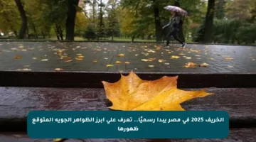 الخريف 2025 في مصر يبدأ رسميًا.. تعرف على أبرز الظواهر الجوية المتوقع ظهورها